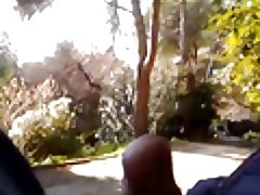 Al parco 11