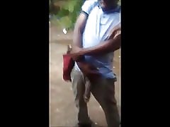 Mostrando il gallo di cavallo per troie