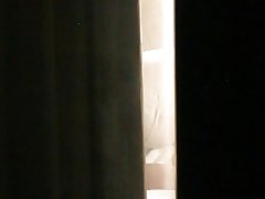 Holiday inn (serie) parte ii